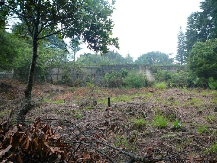 TERRENO EN VENTA EN SAN RAFAEL II — foto 2