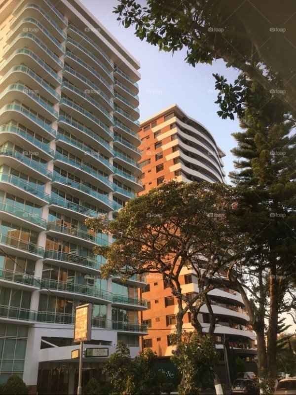 APTO. DE LUJO: Ed. VILLA RISHO Z.14 318 m2 — foto 3