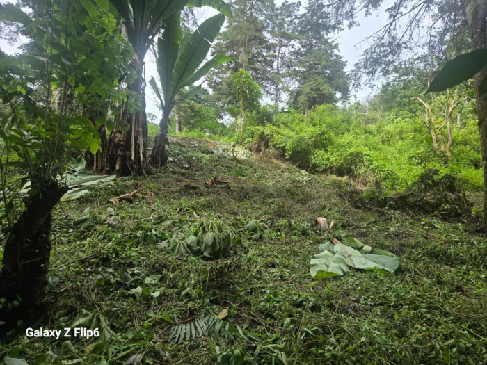 TERRENO EN #VENTA EN PIEDRA PARADA CRISTO REY — foto 2
