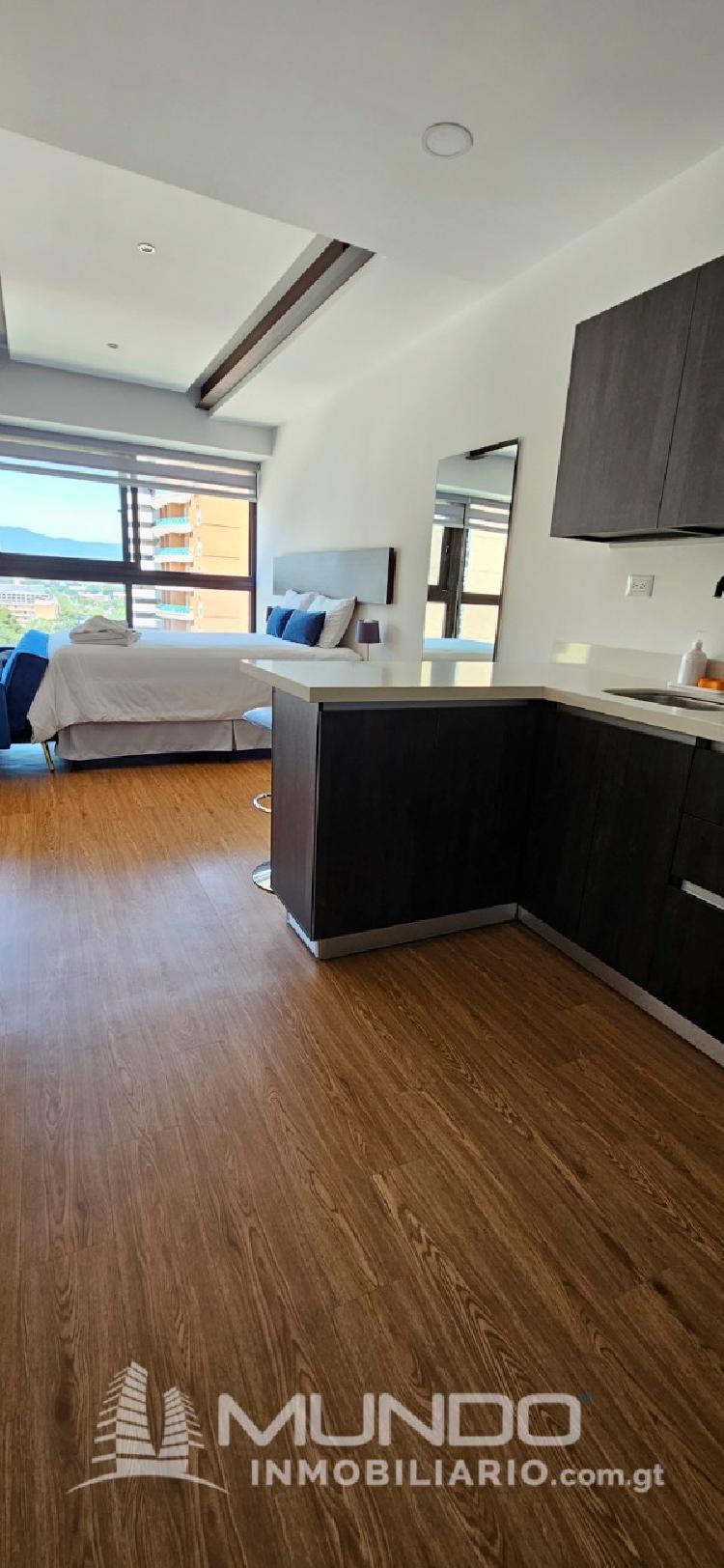 APARTAMENTO AMOBLADO EN RENTA ZONA 10/MI — foto 5