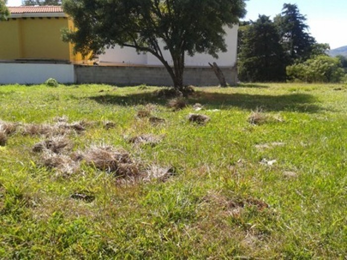 VENDO TERRENO EN BOSQUES DE VILAVERDE KM 26.5 CAES - 2