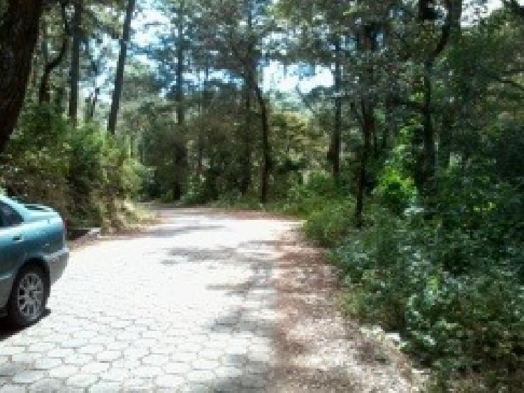 Terreno en venta en Labor de Castilla Guatemala - Image 1
