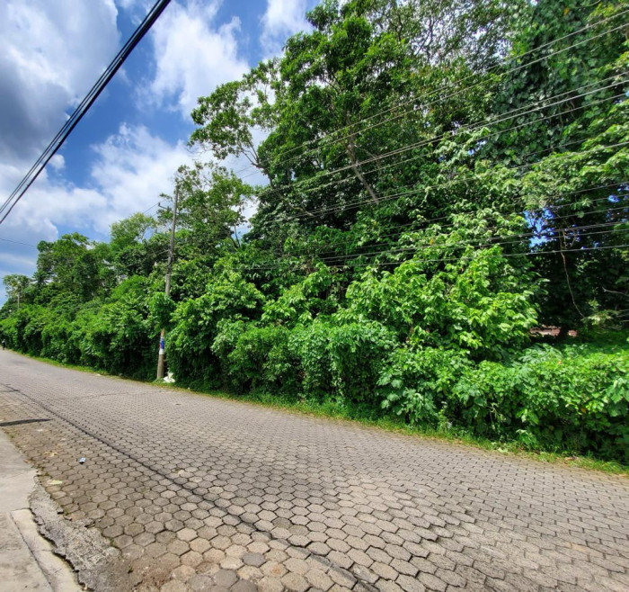 TERRENO PLANO EN VENTA EN MAZATENANGO PARA DESARROLLO - 7