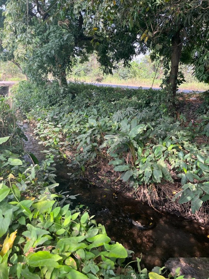 TERRENO ESCUINTLA - 2
