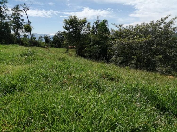 Vendo Finca de 120mnz en Puerto Barrios, Izabal Ref-229 - 7