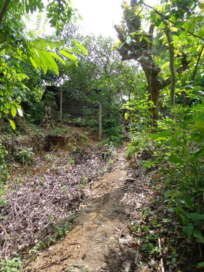 Terreno Escuintla Tiquisate - Miniatura 5