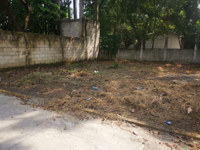 TERRENO RESIDENCIAL COLONIA LOS OLIVOS TIQUISATE ZONA 4 - Image 2
