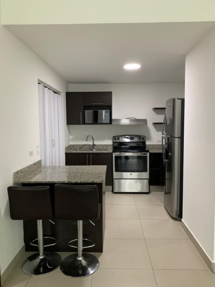 Hermoso Apartamento en renta en La Sabana Norte, SJ. - 1
