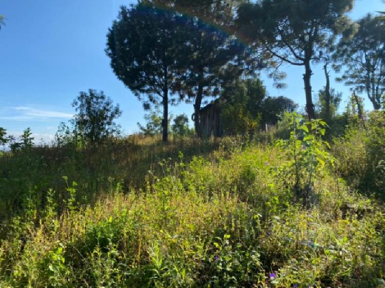 TERRENO RUSTICO EN VENTA EN CHIMALTENANGO - 6