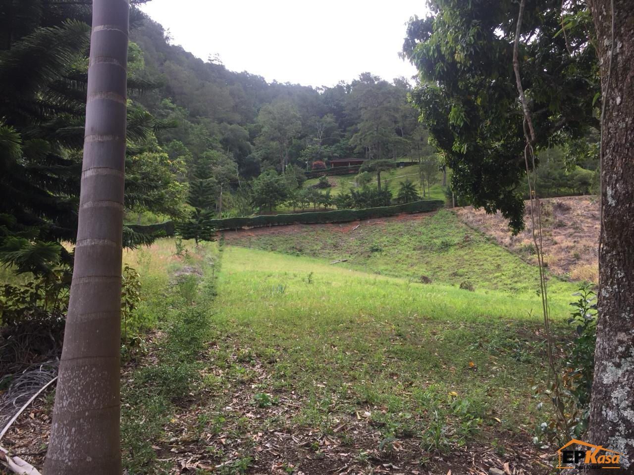 Solar de venta en zona turística, Jarabacoa — foto 4
