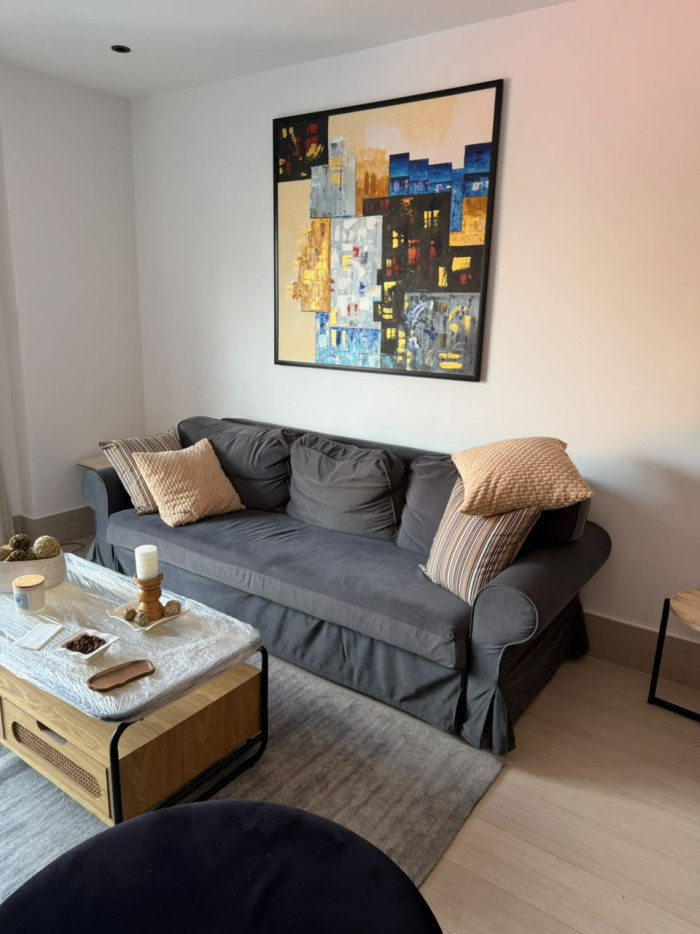 APARTAMENTO AMUEBLABO DE UNA HABITACION EN PIANTINI - 9