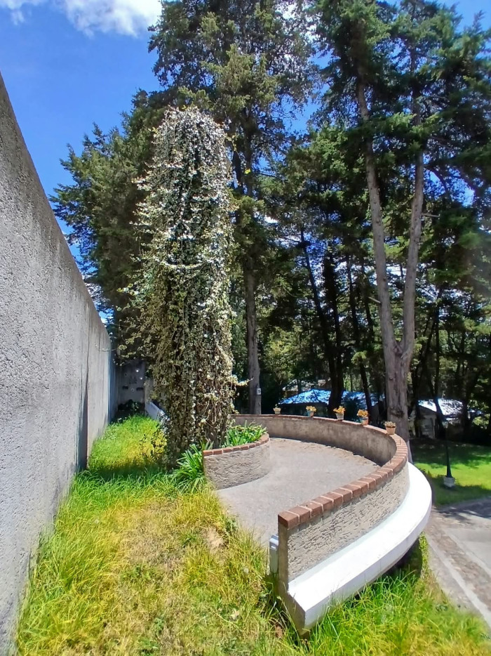 En renta accesible terreno comercial - Miniatura 4