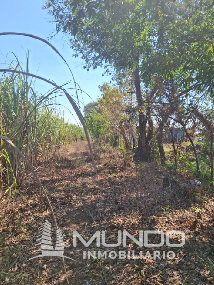 FINCA EN VENTA CARRETERRA ANTIGUA AL PUERTO SAN JOSÉ — foto 11