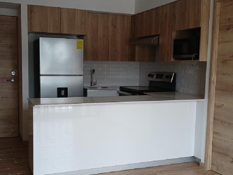 APARTAMENTO EN RENTA EN ZONA 9 — foto 3