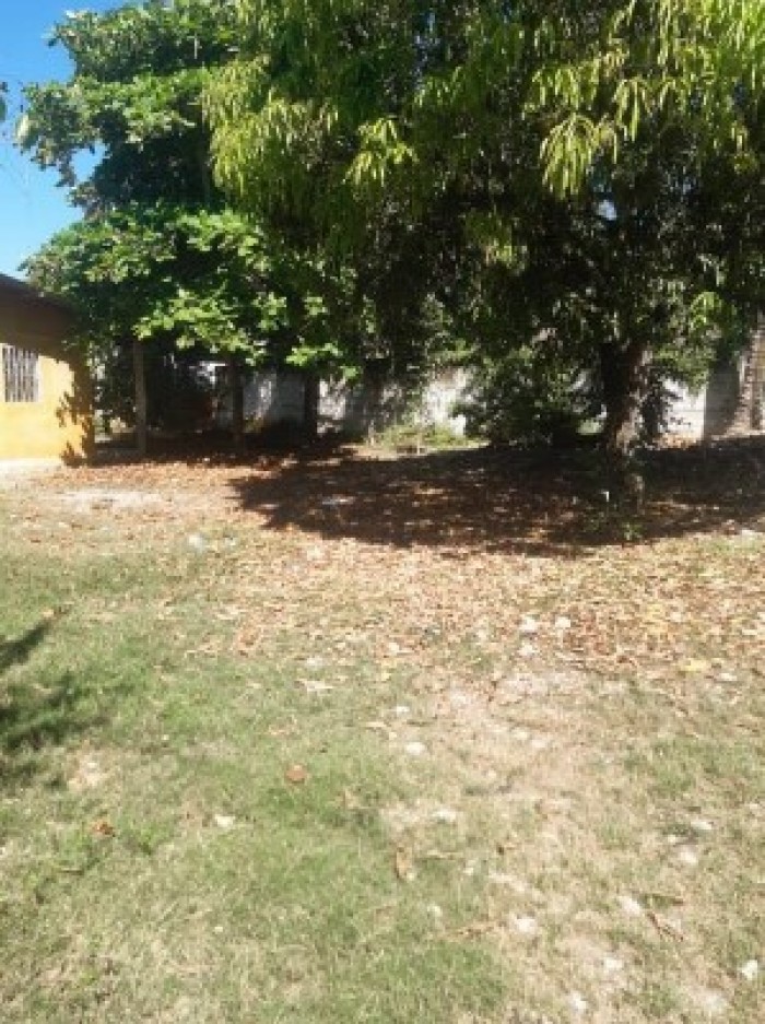 Casa Barrio Santa Cruz Municipio La Libertad Peten - Image 2