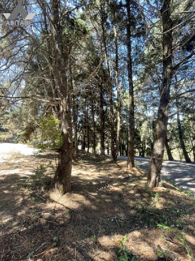 Terreno en venta — foto 4