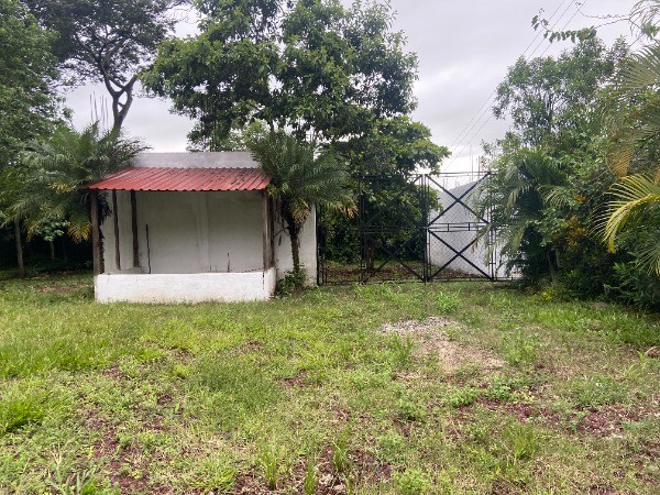 TERRENO CON LOCAL COMERCIAL EN VENTA EN EL CERINAL - 2