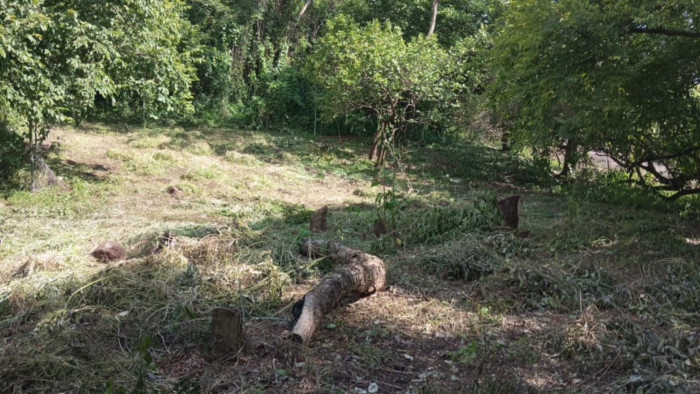 Terreno en Venta en Masagua, Escuintla | Oportunidad Inmobiliaria - Miniatura 3