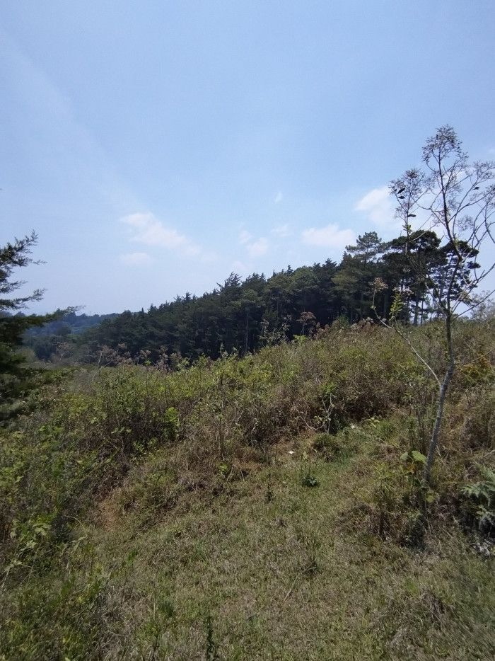FINCA EN #VENTA EN CARRETERA A EL SALVADOR - 2