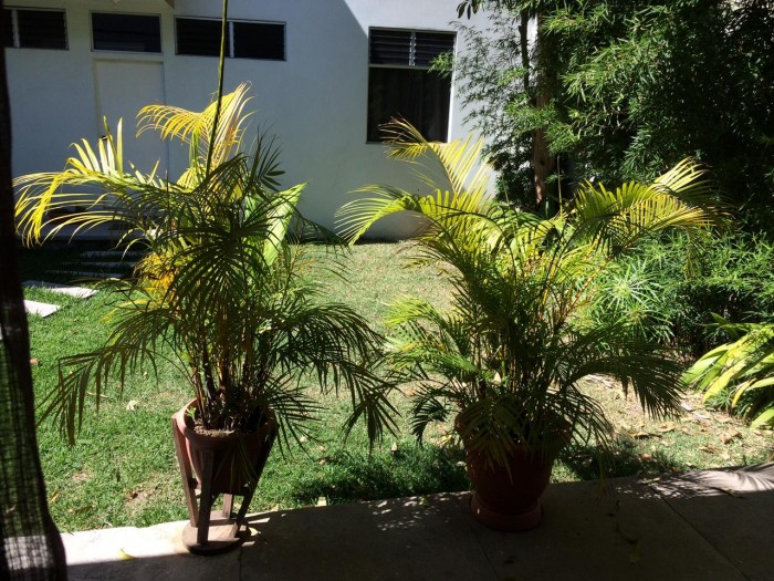 Rento bonito apartamento tipo estudio, zona 10 — foto 6