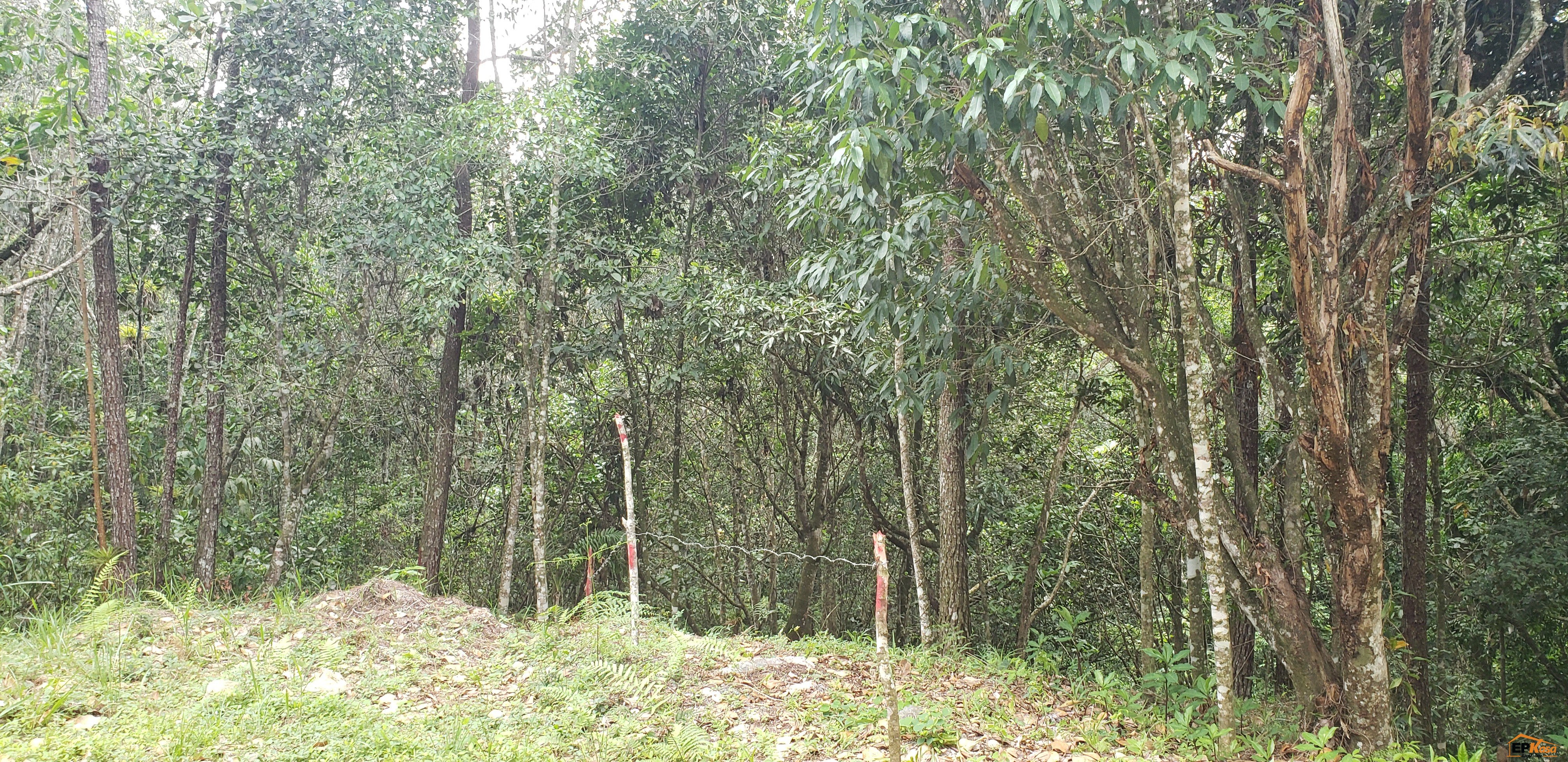 Solar de venta en Jarabacoa — foto 3