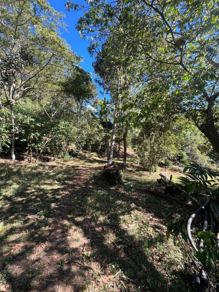 Finca en Venta en Fraijanes, Guatemala | Km 16-30 - Miniatura 2