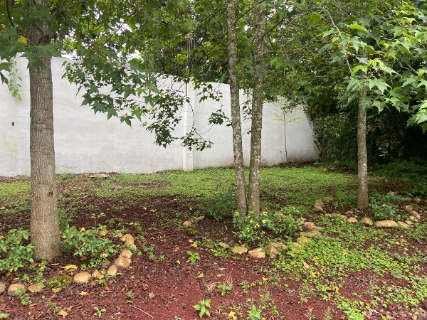 TERRENO CON LOCAL COMERCIAL EN VENTA EN EL CERINAL - 16