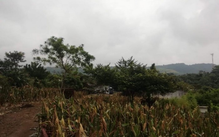 Venta de 7 manzanas de terreno Km. 58 CAES. - 4