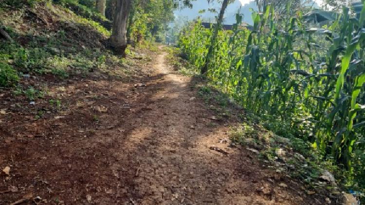 PARCELA EN VENTA EN CHISEC, ALTA VERAPAZ - 10