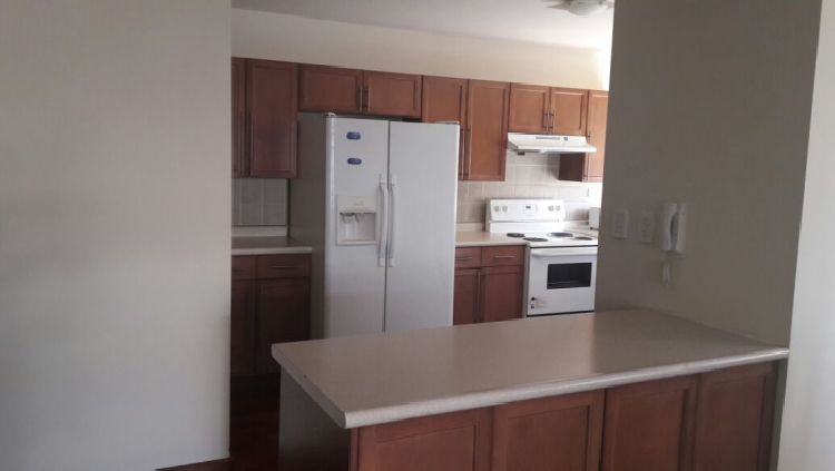 LINDO APARTAMENTO EN RENTA, ZONA 10 — foto 3