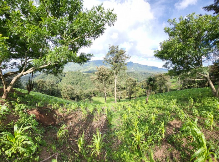 Finca en venta en San Jose Pinula camino a Monte Cristo - 18