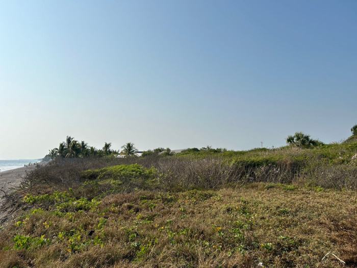 TERRENO GRANDE EN VENTA EN IZTAPA PARA DESARROLLO - 13