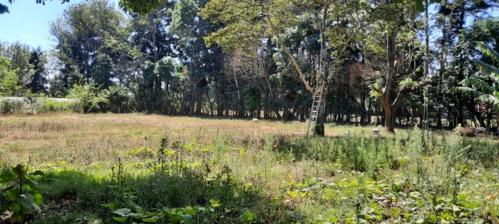 KM 24 CARRETERA AL SALVADOR — foto 14