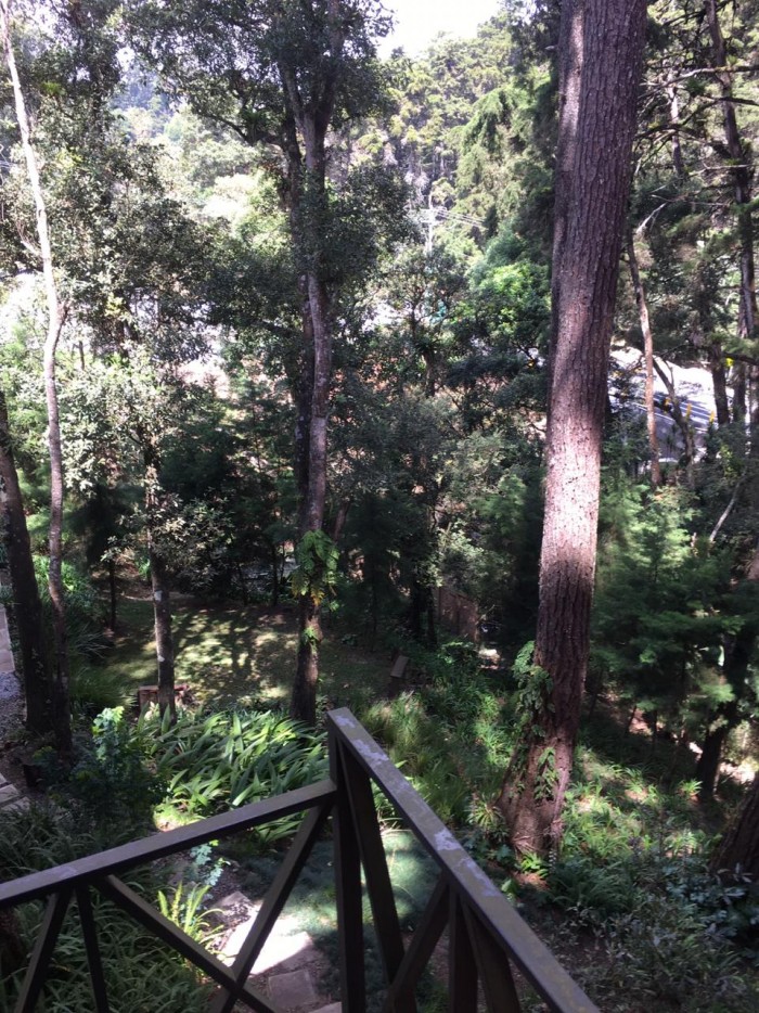 Apartamento en Alquiler en Muxbal, entorno ecológico!!! - Image 4