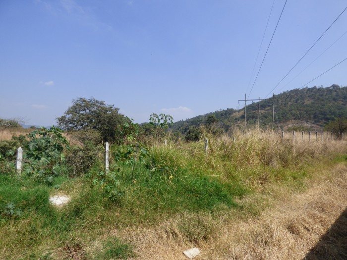 EL CHATO - 5