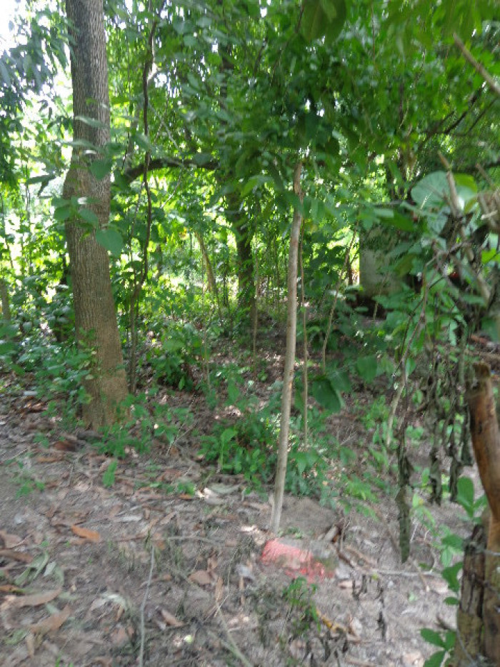 Terreno Escuintla Tiquisate - Miniatura 4