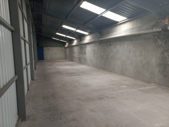 BODEGA EN VENTA FUERA DE GARITA ZONA 5 - Miniatura 8