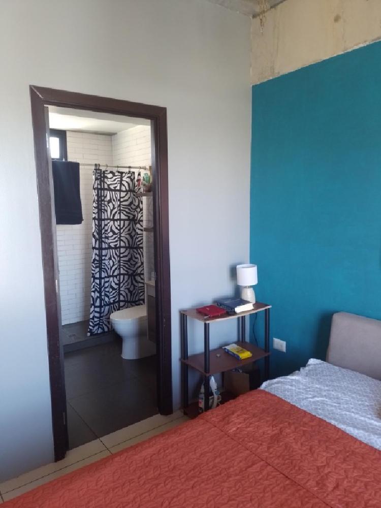 APARTAMENTO AMOBLADO EN RENTA ZONA 4/MUNDO INMOBILIARIO — foto 7