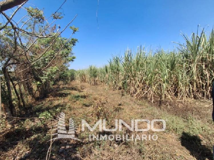 FINCA EN VENTA CARRETERRA ANTIGUA AL PUERTO SAN JOSÉ — foto 4