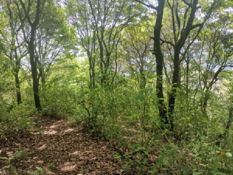 TERRENO EN VENTA EN KM 21.5 EN MIXCO — foto 8