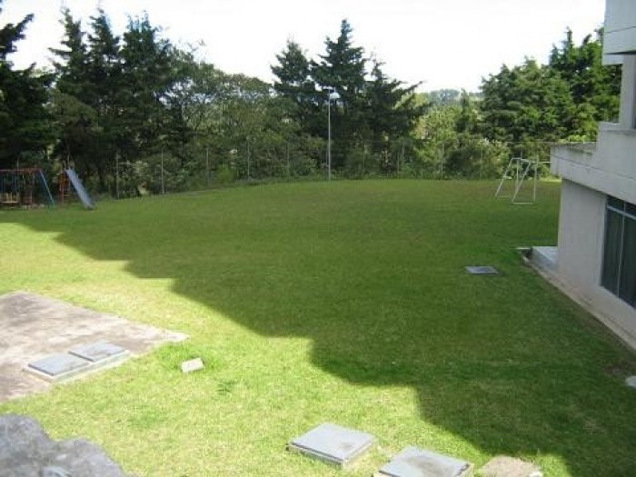 Apartamento en Alquiler en Zona 15 - Image 5