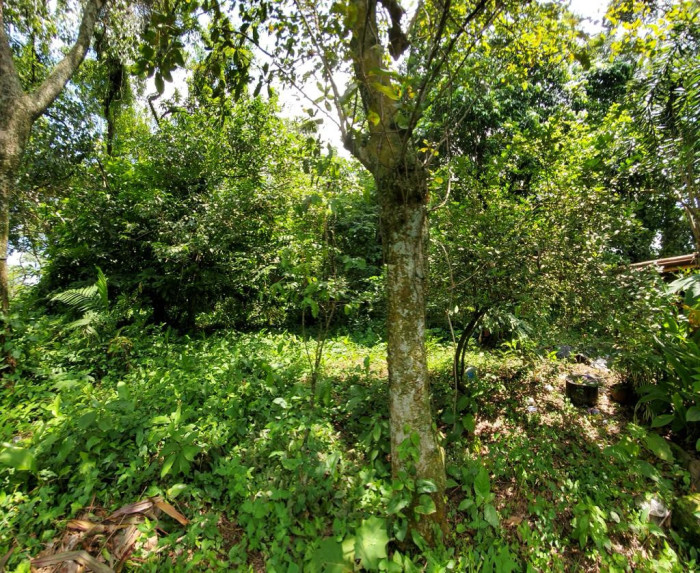TERRENO PLANO EN VENTA EN MAZATENANGO PARA DESARROLLO - 5