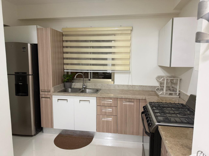 Apartamento Amueblado en Renta, 1 Habitación, Piantini — foto 3