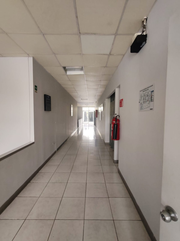 Oficina amplia en alquiler en San Antonio Abad — foto 4