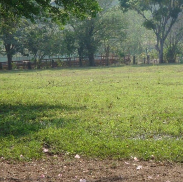 Terreno Barrio La Cienaga, Municipio Gualan, Zacapa - Miniatura 9