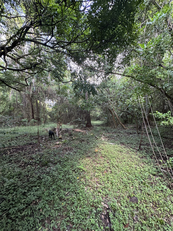 Terreno de 5 manzanas en Isla Madresal en Jiquilisco - 6