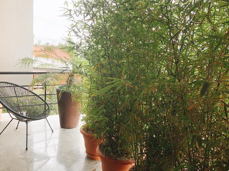 Renta de apartamento amueblado en 4 grados norte - Miniatura 6