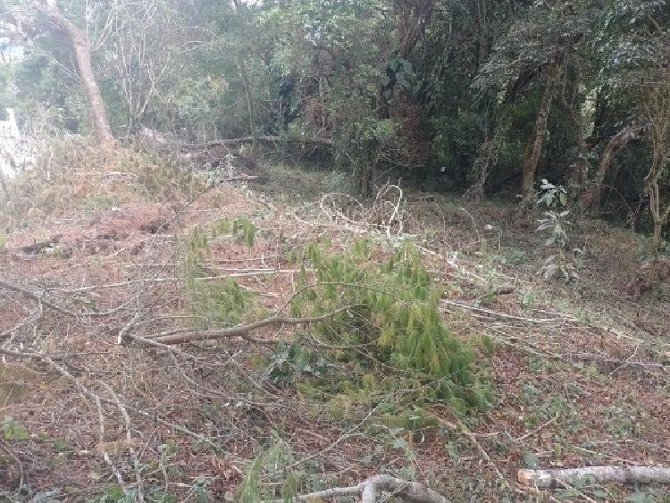 Vendo Terreno area de Fraijanes km 16.5