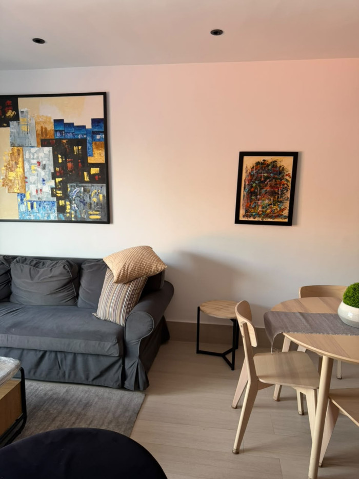 APARTAMENTO AMUEBLABO DE UNA HABITACION EN PIANTINI - 2
