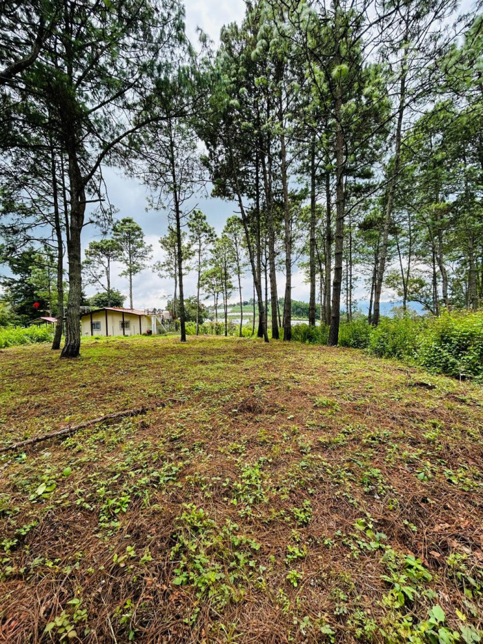 Terreno en venta en Sumpango Hacienda Las Llanuras - 5